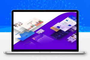 Divi 主题 v4.19.5 可视化搭建主题