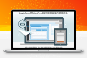 Gravity Forms v2.7.1 专业拖拽表单