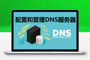 彩虹聚合DNS管理系统2.4.1版：一站式域名解析与SSL证书管理的高效之选